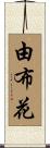 由布花 Scroll
