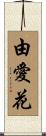 由愛花 Scroll