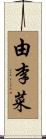 由李菜 Scroll