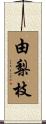 由梨枝 Scroll