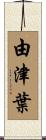由津葉 Scroll