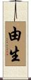 由生 Scroll