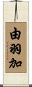 由羽加 Scroll
