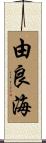 由良海 Scroll
