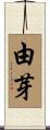 由芽 Scroll