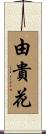 由貴花 Scroll