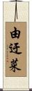 由迂菜 Scroll