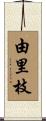 由里枝 Scroll