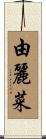 由麗菜 Scroll