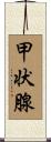 甲状腺 Scroll