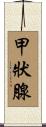 甲狀腺 Scroll