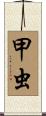 甲虫 Scroll