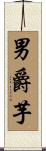 男爵芋 Scroll