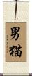 男猫 Scroll