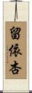 留依杏 Scroll
