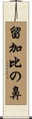 留加比の鼻 Scroll