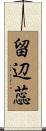 留辺蕊 Scroll