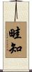 畦知 Scroll