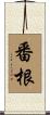 番根 Scroll