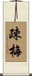 疎梅 Scroll