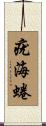 疣海蜷 Scroll