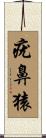 疣鼻猿 Scroll
