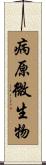 病原微生物 Scroll