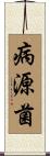 病源菌 Scroll