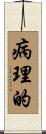 病理的 Scroll