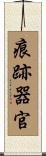 痕跡器官 Scroll
