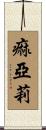 痲亞莉 Scroll