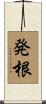 発根 Scroll