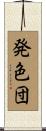 発色団 Scroll