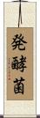発酵菌 Scroll