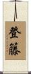 登籐 Scroll
