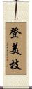 登美枝 Scroll