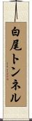 白尾トンネル Scroll