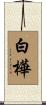 白樺 Scroll