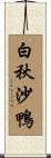 白秋沙鴨 Scroll