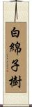 白綿子樹 Scroll