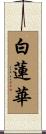 白蓮華 Scroll