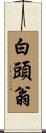 白頭翁 Scroll