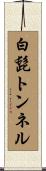 白髭トンネル Scroll