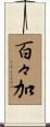 百々加 Scroll