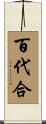 百代合 Scroll