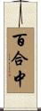 百合中 Scroll