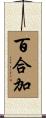 百合加 Scroll