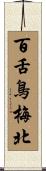 百舌鳥梅北 Scroll