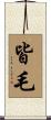 皆毛 Scroll