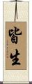 皆生 Scroll